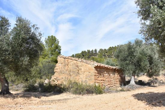 Finca con maset en Mazaleón - TERUEL