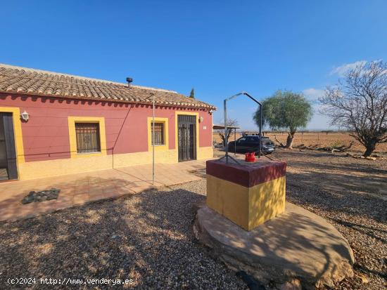 CASA DE CAMPO CON TERRENO EN CAMPILLO DE ABAJO - MURCIA