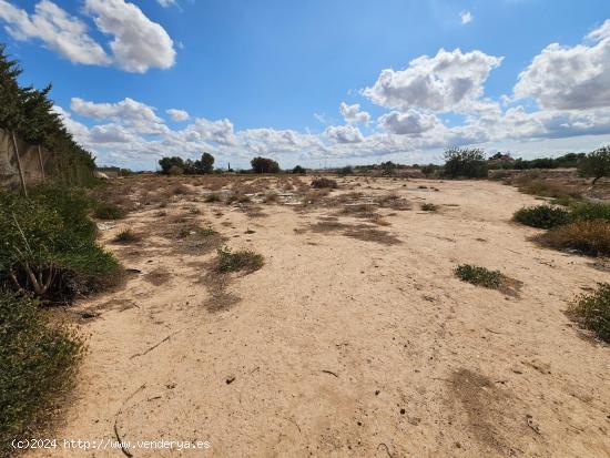 TERRENO DE REGADIO - MURCIA