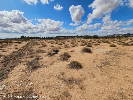 TERRENO DE REGADIO - MURCIA