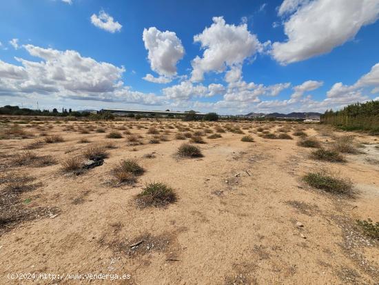 TERRENO DE REGADIO - MURCIA