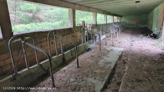 14 Hectáreas de terreno rural con cuadra/pajar de 300 m2. Junto a la carretera - ALAVA