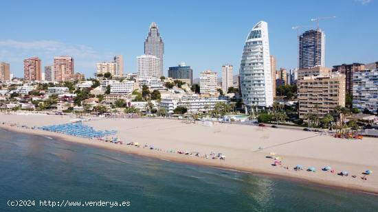  Bienvenido a : El Nuevo Icono del Skyline de Benidorm - ALICANTE 