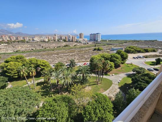 Impresionante apartamento en el Campello - ALICANTE