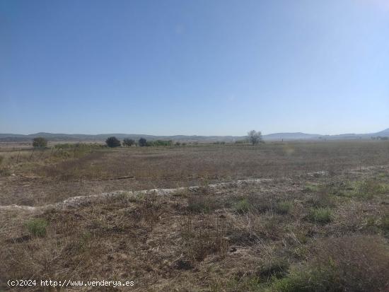 TERRENO URBANO CON VARIAS NAVES EN PARAJE JUNCADAS - ALBACETE