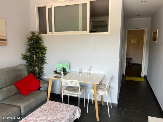 APARTAMENTO EN TORREMOLINOS - MALAGA