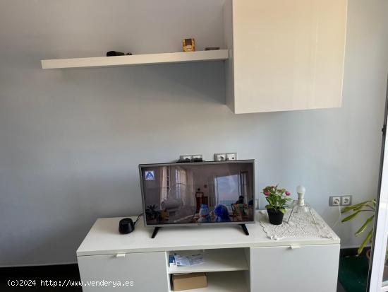 APARTAMENTO EN TORREMOLINOS - MALAGA