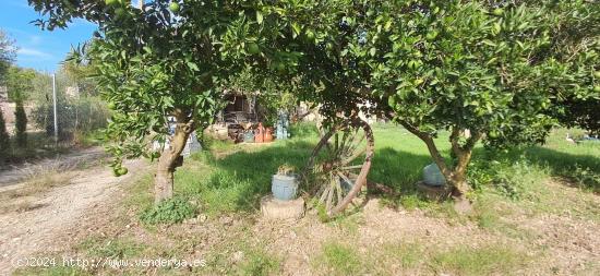 Encantadora Casa Rústica con Piscina Privada y Amplio Terreno - BALEARES