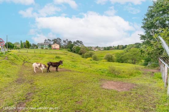 Terreno en Pruvia, Llanera. Poligono 8 - ASTURIAS