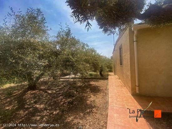  SE VENDE FINCA RUSTICA CON CASA, ALMACEN Y GRANJA EN ALCANAR (TARRAGONA) - TARRAGONA 