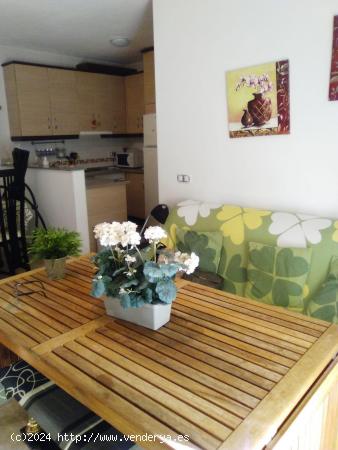 APARTAMENTO EN LOS COLLADOS - MURCIA