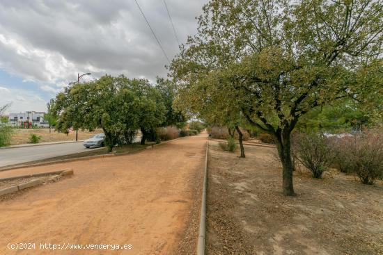 Terreno Perfecto en Cúllar Vega: ¡Listo para Tu Proyecto! - GRANADA