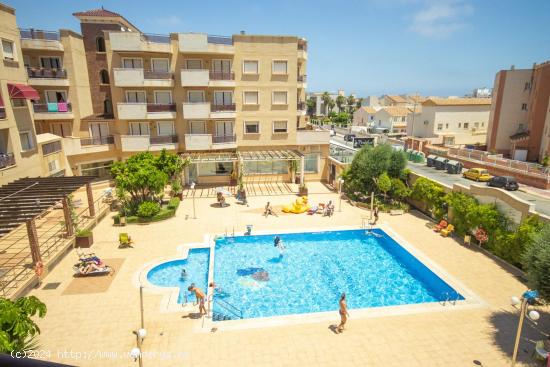  SE ALQUILA POR LARGA DURACIÓN APARTAMENTO DE 2 DORMITORIOS 1 BAÑO EN ORIHUELA COSTA (AGUMARINA) -  