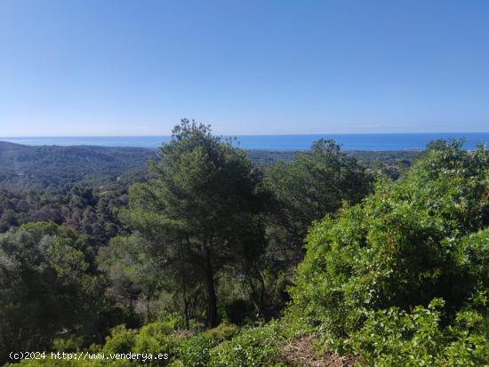  SE VENDE PARCELA EN CUNIT CON VISTAS AL MAR - TARRAGONA 