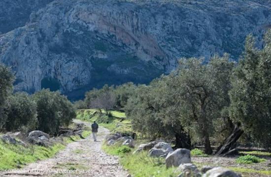 ¡Descubre tu paraíso en Villanueva del Rosario! - MALAGA