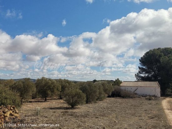  Casa de campo-Masía en Venta en Yecla Murcia 