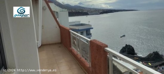 Piso en Alquiler en Punta Del Hidalgo Santa Cruz de Tenerife