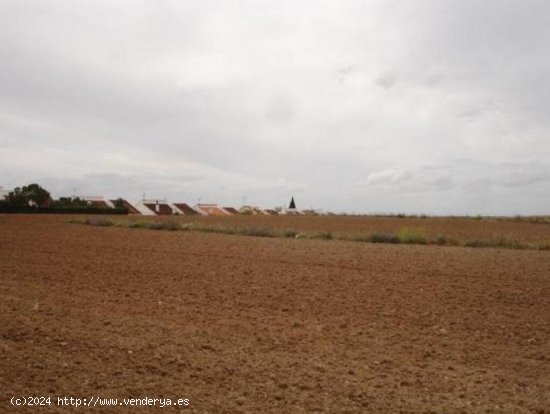 TERRENO A LA VENTA EN S2 BARGAS