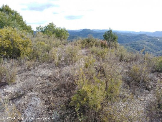 TERRENO EN VENTA EN RIVER PARK (EL PONT DE VILOMARA I ROCAFORT)