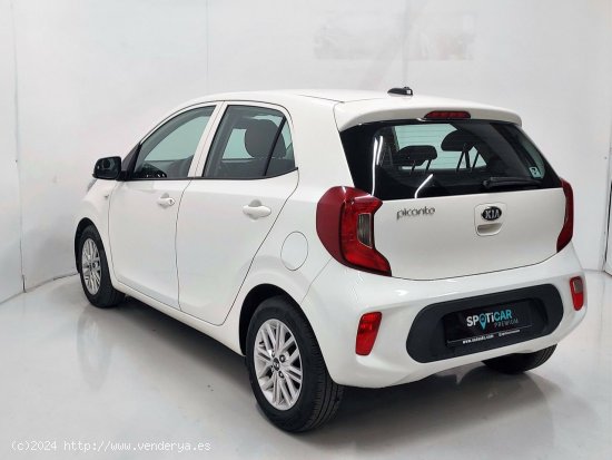 Kia Picanto  1.0 DPi 49kW (67CV)  Pack Comfort Concept - SANT FRUITOS DE BAGES