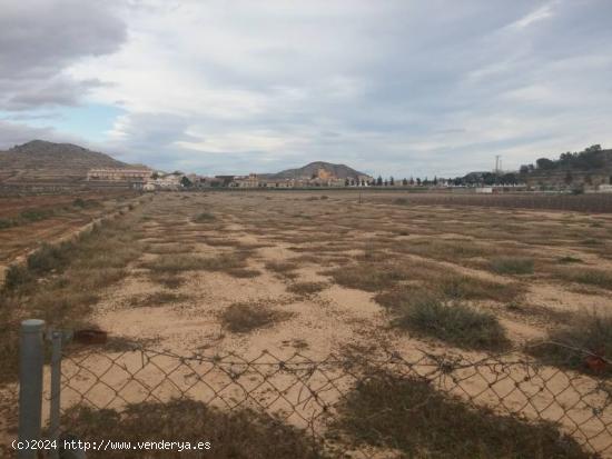 SE VENDE PARCELA CON AGUA DE RIEGO EN HONDÓN DE LAS NIEVES AL LADO DEL POLIDEPORTIVO - ALICANTE