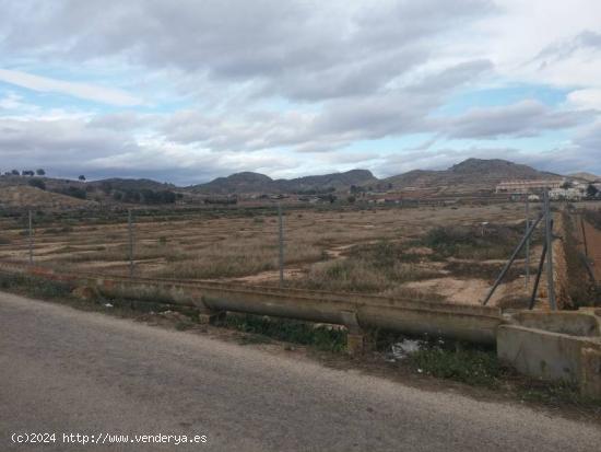 SE VENDE PARCELA CON AGUA DE RIEGO EN HONDÓN DE LAS NIEVES AL LADO DEL POLIDEPORTIVO - ALICANTE