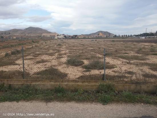 SE VENDE PARCELA CON AGUA DE RIEGO EN HONDÓN DE LAS NIEVES AL LADO DEL POLIDEPORTIVO - ALICANTE