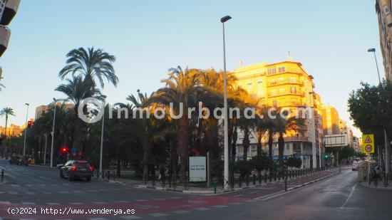 ENTRESUELO 4 DORM 2 GRANDES PATIOS PZA BENIDORM - ALICANTE