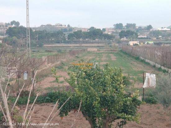  SE VENDE CASA DE CAMPO EN ASPE -ZONA CARRASCA. - ALICANTE 