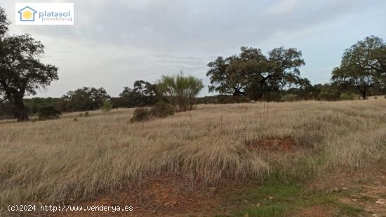 Terreno a la venta con agua y luz a pie de parcela en Arroyo de la Plata - Sevilla - SEVILLA