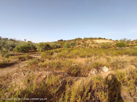 TERRENO URBANIZABLE EN ALMOGIA - MALAGA