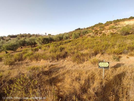 TERRENO URBANIZABLE EN ALMOGIA - MALAGA