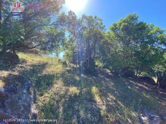 SE VENDE FINCA URBANIZABLE EN LA ZONA DE VELLE - ORENSE