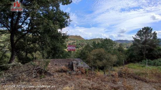  FINCA RUSTICA CON GALPON EN LA ZONA DE CASTRO DE BEIRO (AMOEIRO) - ORENSE 