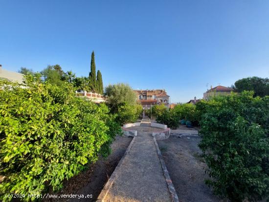 Parcelas urbanas en La Alberca - MURCIA