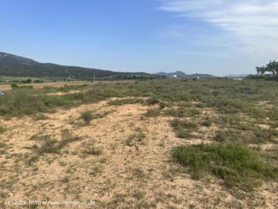 Parcela de terreno de 69000 metros - ALICANTE