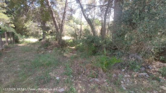 Terreno en venta en suelo urbano en Cubelles - BARCELONA