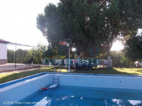 ESPARTINAS VENTA FINCA RUSTICA 5000 M CON CHALET DE 200 M PISICINA PROPIA - SEVILLA