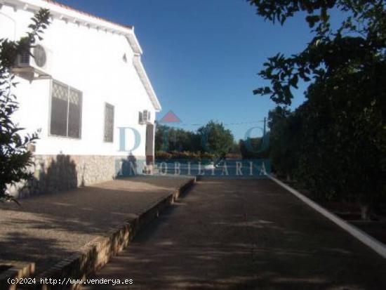 ESPARTINAS VENTA FINCA RUSTICA 5000 M CON CHALET DE 200 M PISICINA PROPIA - SEVILLA