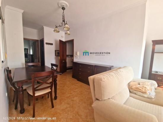 Se Vende en Prado del Rey - CADIZ