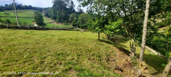 TERRENO EN SUELO URBANO EN BUSTABLADO-ARREDONDO (CANTABRIA) - CANTABRIA