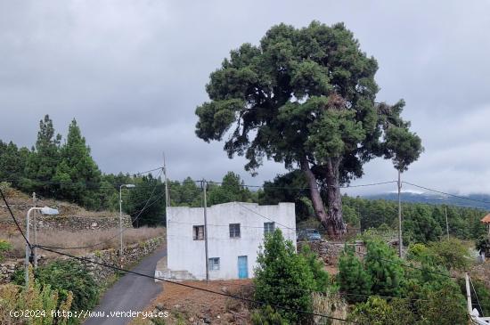 CASA  A REFORMAR CON TERRENO - SANTA CRUZ DE TENERIFE