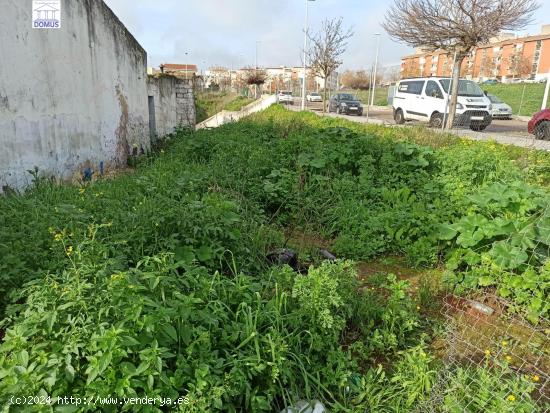 Terreno en la zona de la Corchera - BADAJOZ