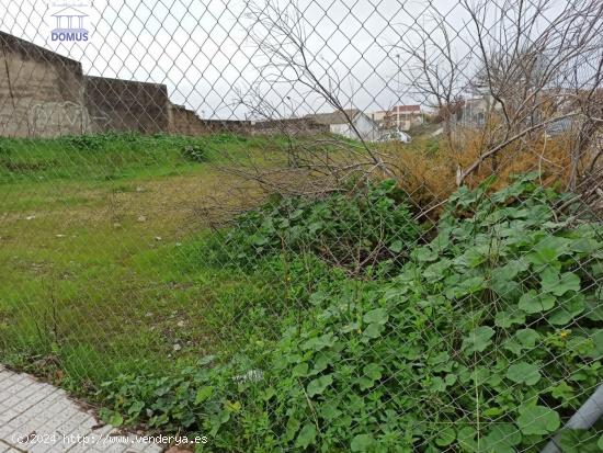 Terreno en la zona de la corchera - BADAJOZ