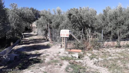 FINCA RÚSTICA EN TÍJOLA ( ALMERÍA ).de 2000  metros terreno y 20 metros   nave - ALMERIA