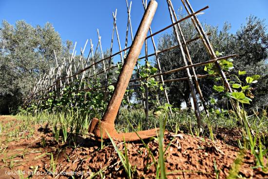 Se Vende en Jerez de la Frontera - CADIZ