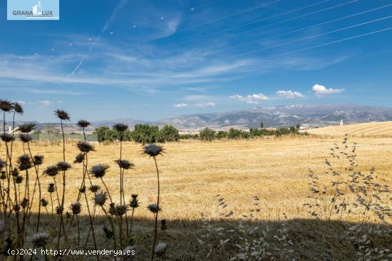  ESTUPENDO SOLAR EN LAS GABIAS - GRANADA 