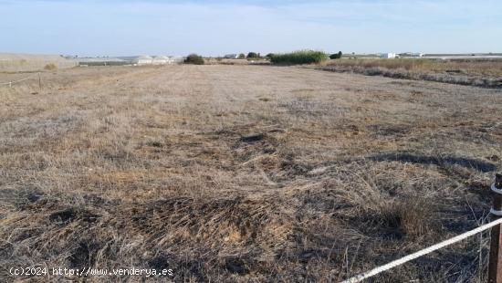 Terreno en la Carretera de Chipiona - CADIZ