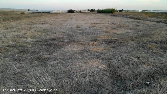 Terreno en la Carretera de Chipiona - CADIZ