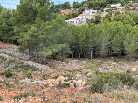  PIENSAS EN VIVIR MEJOR? Puedes empezar por vivir en plena naturaleza en Urbanización la Coma - CAST 